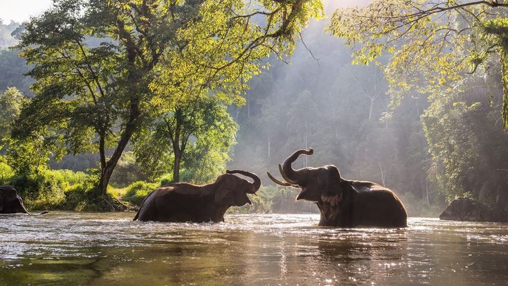 Perfect 6D  Sri Lanka Family Tour