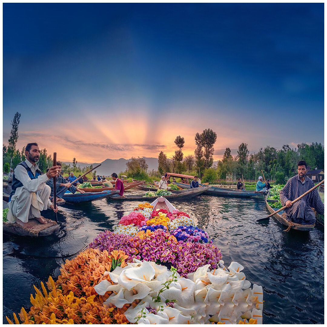 Kashmir Tulip Garden Escape